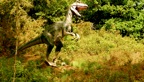 Parc Dinosaures 171