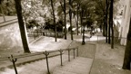 Paris - Tertre - 59
