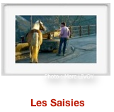 Capture d’écran 2012-10-14 à 19.21.22